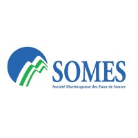 Logo SOMES