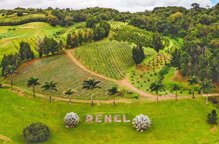 Photo de Denel